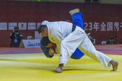 柔道资料,传统武术与现代竞技的完美融合