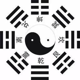 八卦中的离的意思,点燃生命之火的启示录